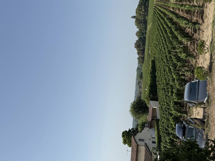 The vineyards of Saint-Émilion below the terrace at golden hour