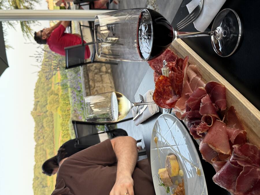 Cured meats and foie gras with red and white wine, vineyard view behind