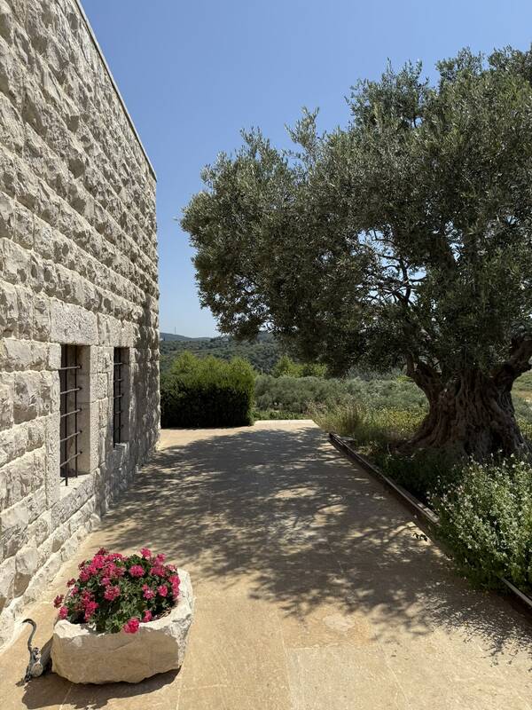 The drive inland toward Batroun, climbing into the hills